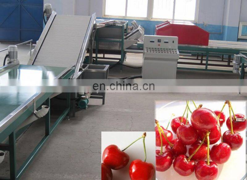 small capacity guava jam