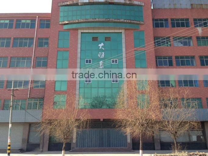 Dayu Group Co., Ltd. company overview - view 2