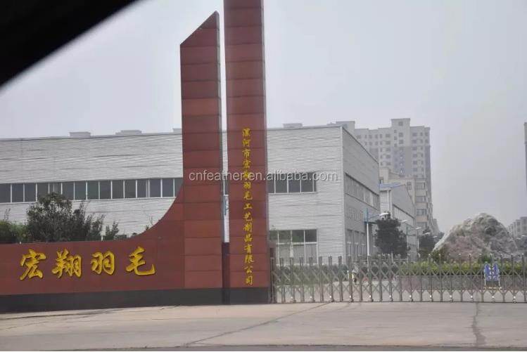 Luohe Hongxiang Feather Factory company overview - view 1