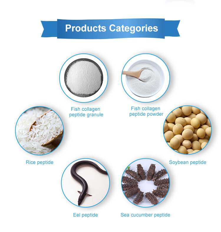 Hainan Huayan Collagen Technology Co., Ltd company overview - view 3