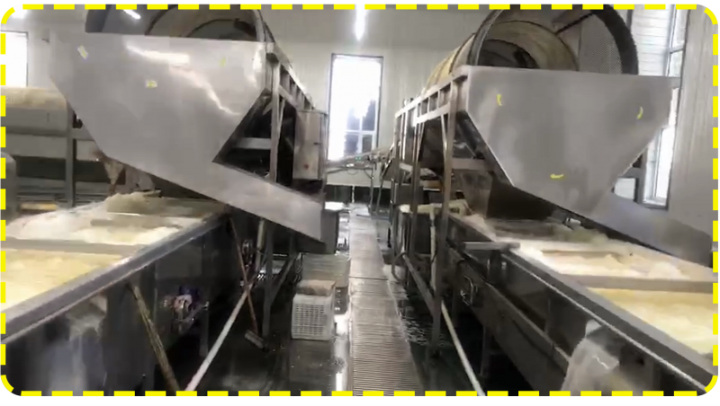 Juicing 1T/H Sweet corn glutinous niblet kernel peeling wash cooking cooling sterilization Tin cans packing processing making line pulping crushing