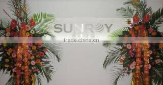 Sunroy International Inc. company overview - view 1