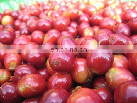 Jamaica coffee bean/cherry peeling/peeler machine also cocoa