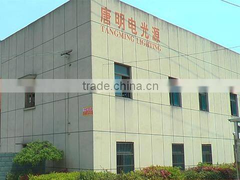 Haining Tangming Electric Lighting Co., Ltd. company overview - view 1