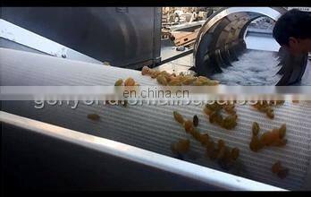 industrial raisin cleaning and sorting line / raisin processing machine