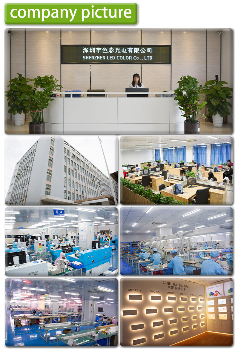 Shenzhen Led Color Co.,ltd company overview - view 1