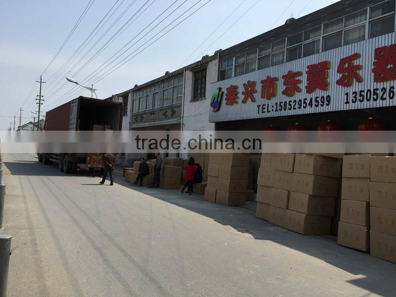 Taixing Eastwing Musical Instruments Factory company overview - view 1