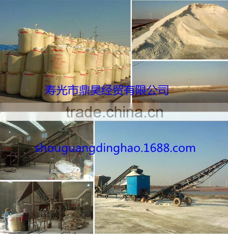 Shouguang Dinghao Trading Co., Ltd. company overview - view 1