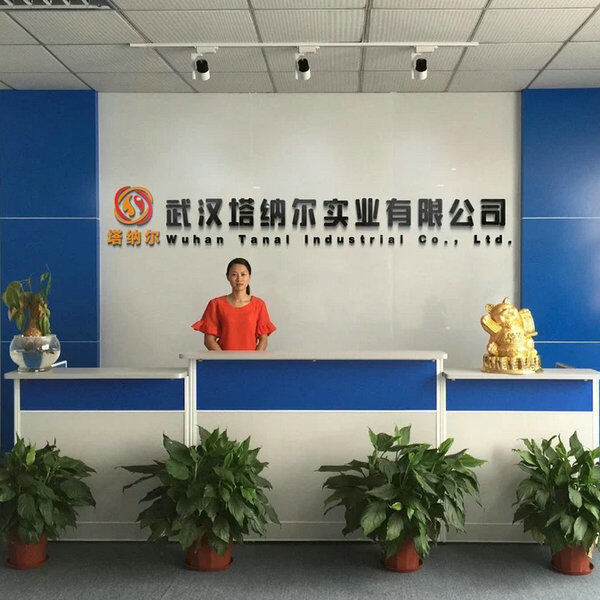 Wuhan Tanal Industrial Co., Ltd. company overview - view 1