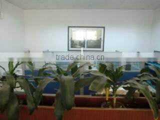 Dongguan Tops Fashion Apparel Co., Ltd. company overview - view 1