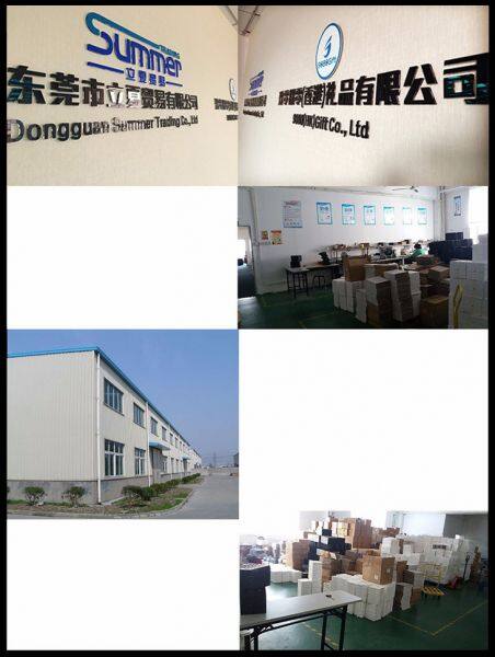 Dongguan Summer Trading Co., Ltd. company overview - view 1