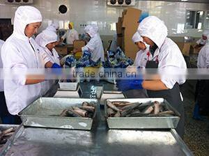 Taizhou Huatong Aquatic Products Co., Ltd. company overview - view 2