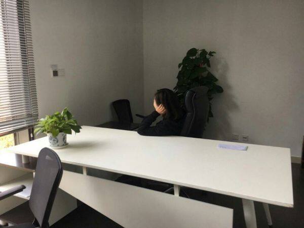 Group Seven company overview - view 2