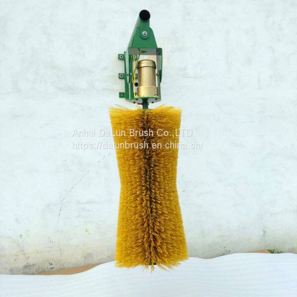 cow body brush (2)