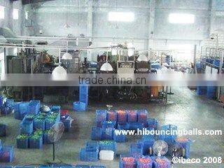 Ibeco Toys (Shenzhen) Co., Ltd. company overview - view 2