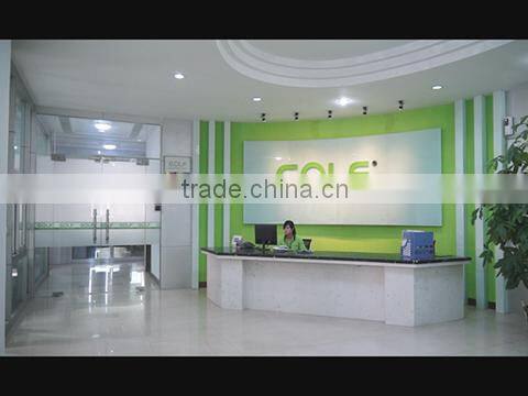 Shenzhen Golf & Feihuang Technology Co., Ltd. company overview - view 1