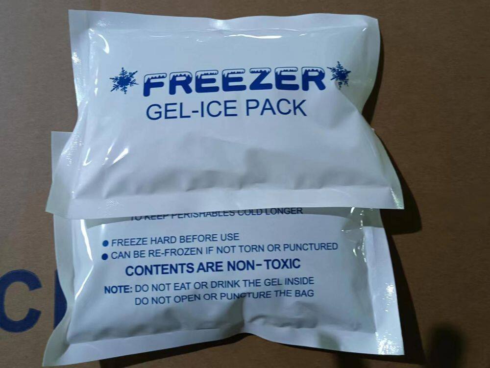 300g reusable ice pack低温保鲜冰袋佛山广东厂家 (1)