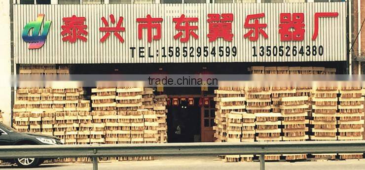 Taixing Eastwing Musical Instruments Factory company overview - view 2