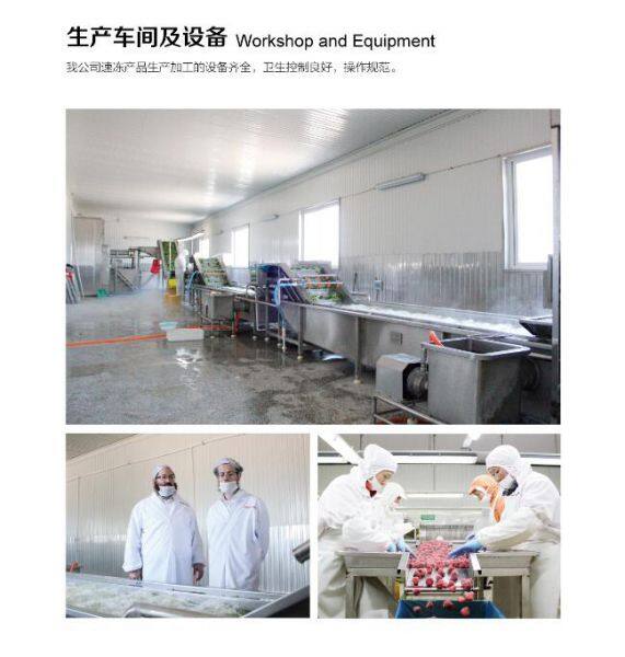 Qingdao Huahong Food Co., Ltd company overview - view 3