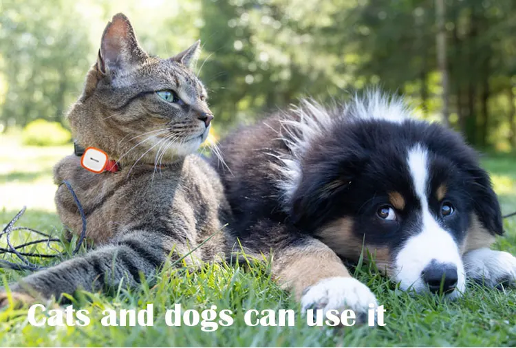 Shenzhen GPSONE Technology Co., Ltd. company overview - view 3