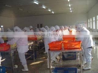 Qingdao Yafod Import And Export Co., Ltd. company overview - view 3