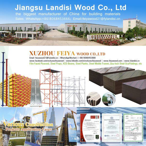 Jiangsu Landisi Wood Co., Ltd company overview - view 1