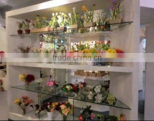 Shenzhen HYS Trading Co., Ltd. company overview - view 1