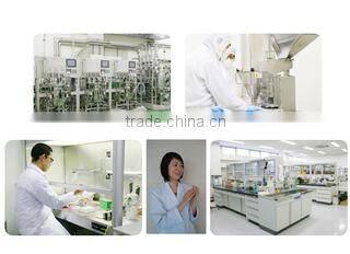 Mirai Co., Ltd. company overview - view 2