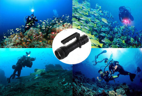 Searchlight Taiwan company overview - view 1