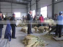 Anhui Zengshi Sanitary Tools Ltd. company overview - view 1