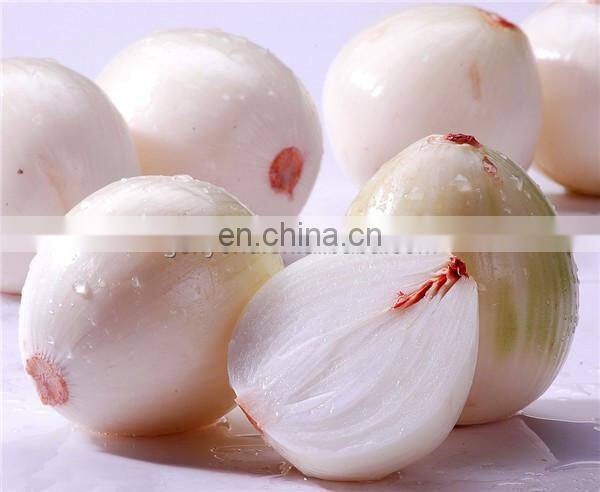 Onion skin removing machine