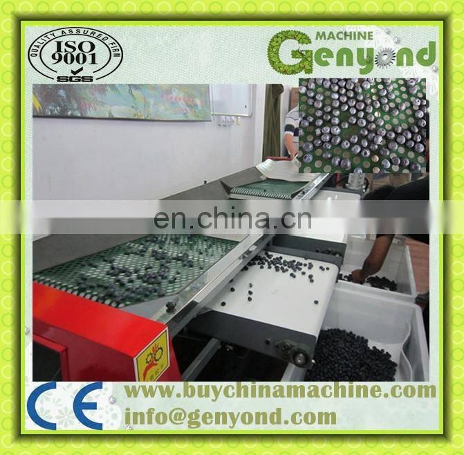 Blueberry Sorting Machine Cherry Orange Grading Machine