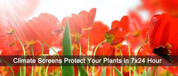 Hebei Lauren Agriculture Technology Co., Ltd company overview - view 3