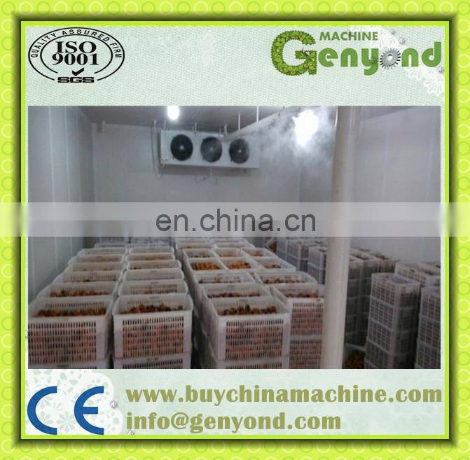Apple/banana/orange/lemon Cold Storage,Cold Storage Room for sale