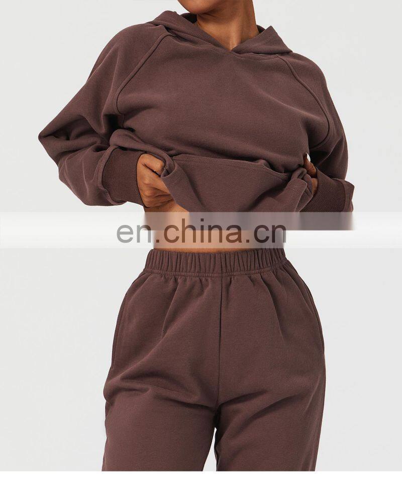 Fall Custom Long Sleeve Casual Warm Fleece Sweatshirt Hoodies Loose Pockets Pullover Tops