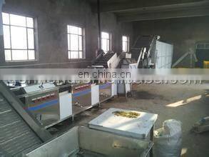 industrial raisin cleaning and sorting line / raisin processing machine