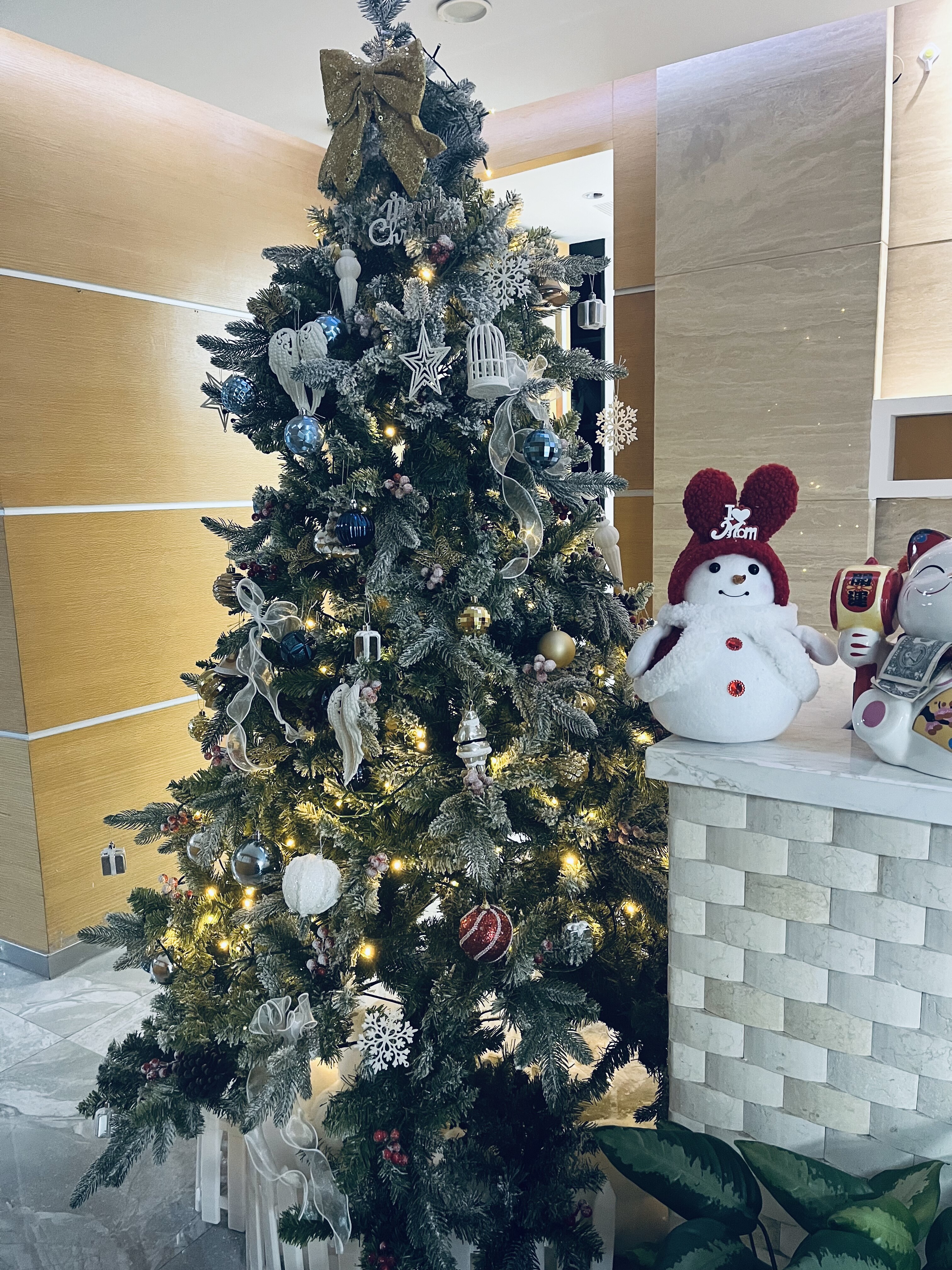 Xiamen Amikon Technology Co., Ltd. company overview - view 1