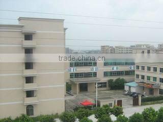 Champion (Shenzhen) Industrial Co., Ltd. company overview - view 2