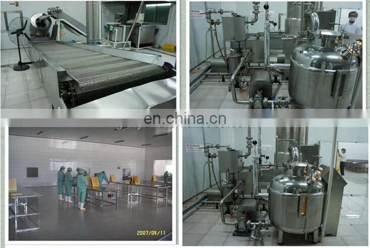 china plantain chips making machine