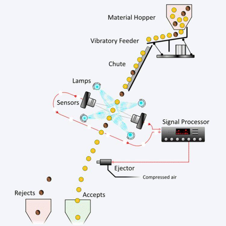 Smart Color Sorting Machine Grain Cleaning Equipment Multifunction Cereals Color Sorter optical sorter NIR