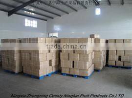 Ningxia Zhongning County Ninghai Fruit Products Co., Ltd. company overview - view 1