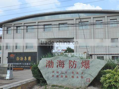 Cangzhou Bohai Safety & Special Tools Group Co., Ltd. company overview - view 1