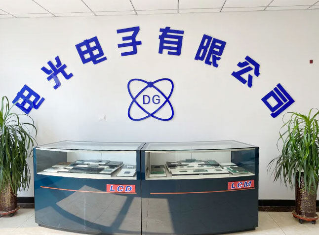 Dianguang Electronics Co., Ltd. company overview - view 1