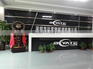 Shenzhen Biyate Energy Co., Ltd. company overview - view 1