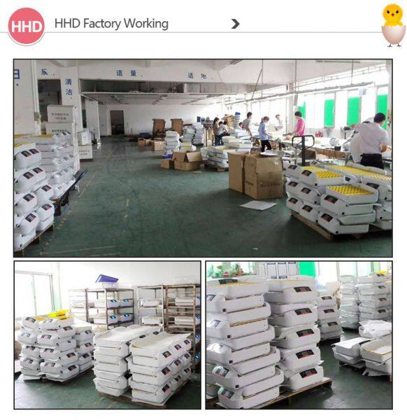 Nanchang Edward Co.Ltd company overview - view 2
