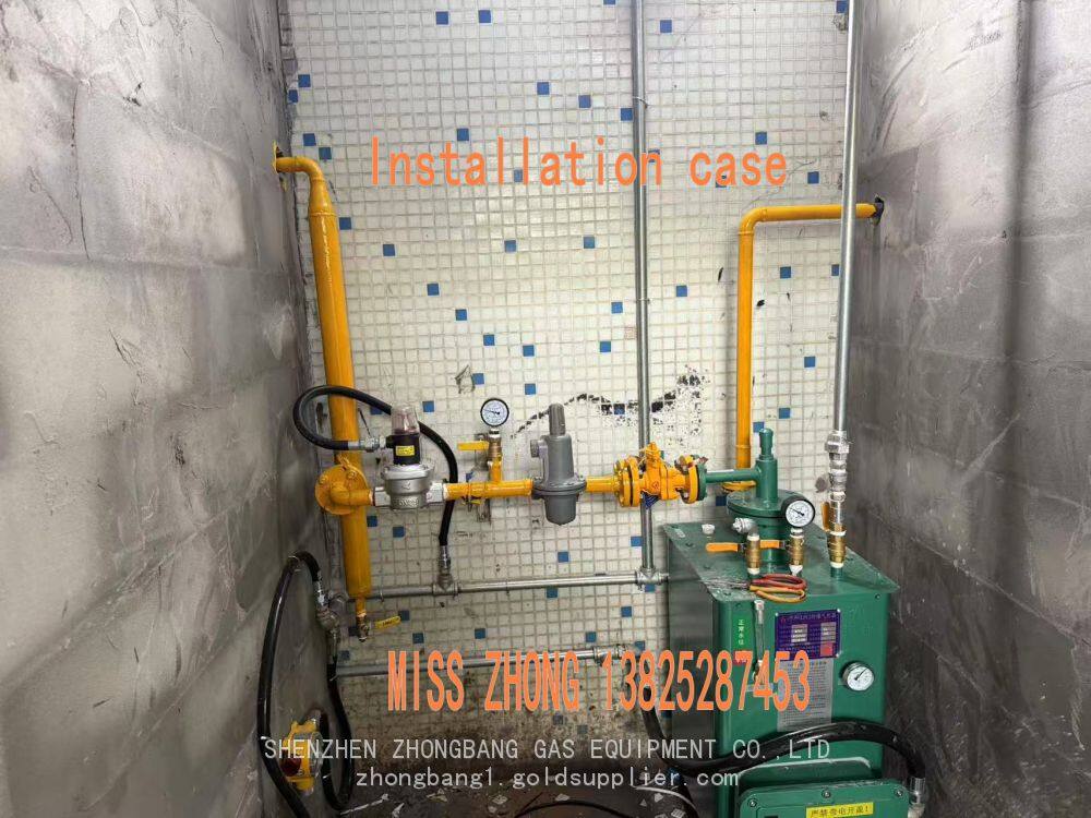 气化炉安装案例.jpg
