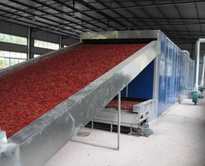 Fruit Processing Plant Layout Large Scale Production Fruit Pulp Separator 5000KG/H Fruit Juicer Production Line