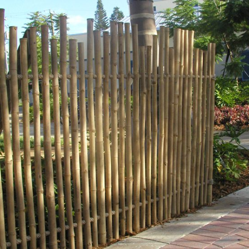can you use bamboo as a fence (1)