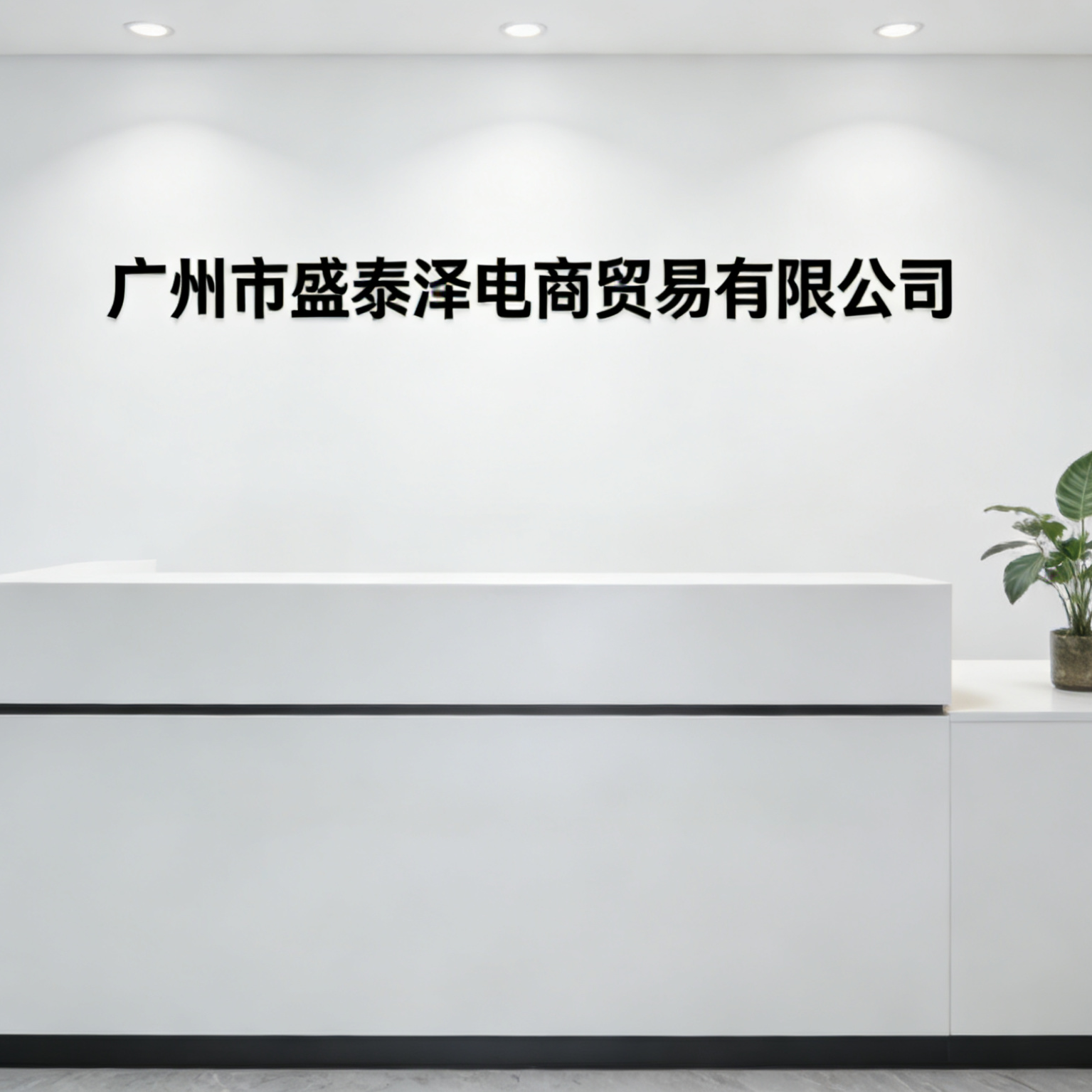 Guangzhou Shengtaize E-commerce Trading Co., Ltd. company overview - view 1