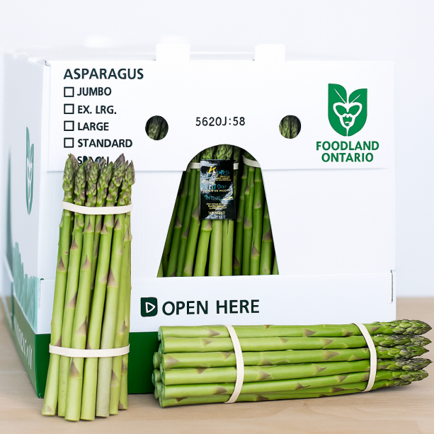 Vegetable Packaging Box1